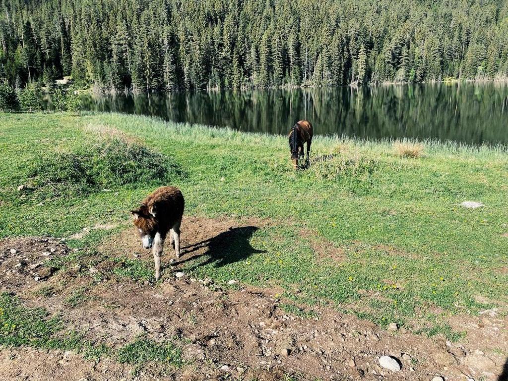 Zminica Lake House جابلياك المظهر الخارجي الصورة