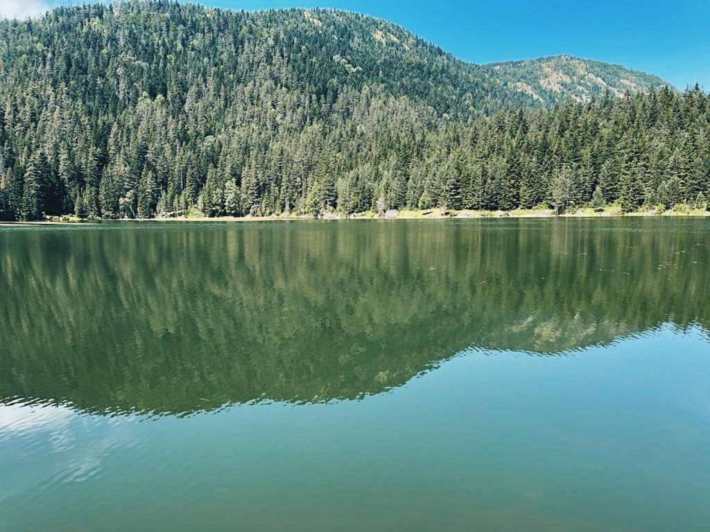 Zminica Lake House جابلياك المظهر الخارجي الصورة